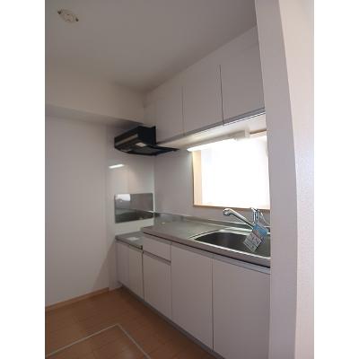 アヤソフィヤ　Ⅱ 103【管理NO：1-016926202-01030】 ★家具家電は申し込み後に搬入します★の物件写真3