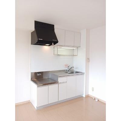 ニューエルディム裕Ⅱ 302【管理NO：1-004284802-03020】 ★家具家電は申し込み後に搬入しますの物件写真3