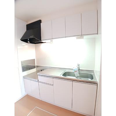 セレーナ・フェリーチェ　Ⅱ 103【管理NO：1-018528002-01030】 ★家具家電は申し込み後に搬入します★の物件写真3