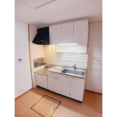 サウス　カーサ　セレノＢ 103【管理NO：1-014809602-01030】 ★家具家電は申し込み後に搬入します★の物件写真3