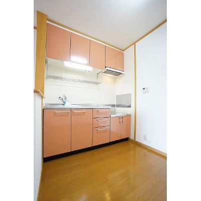 フェニックス大日向 202【管理NO：1-013283901-02020】 ★家具家電は申し込み後に搬入します★ ★2026年09月中旬入居可能★の物件写真3
