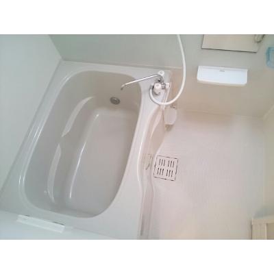 Ｂｉｒｄ　Ｖｉｅｗ 202【管理NO：1-016145801-02020】 ★家具家電は申し込み後に搬入します 2026年08月下旬入居可能の物件写真4
