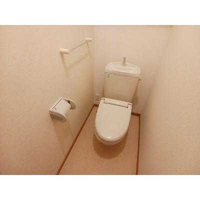 スター・マグノリアＣ 105【管理NO：1-013815803-01040】 ★家具家電は申し込み後に搬入しますの物件写真5