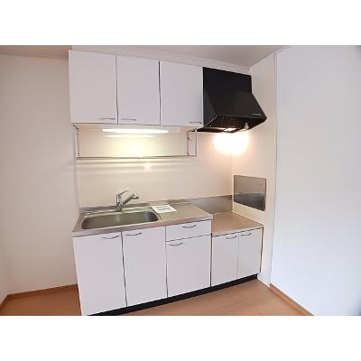 アンバーキャッスルＡ 202【管理NO：1-014665501-02020】 ★家具家電は申し込み後に搬入します★の物件写真3