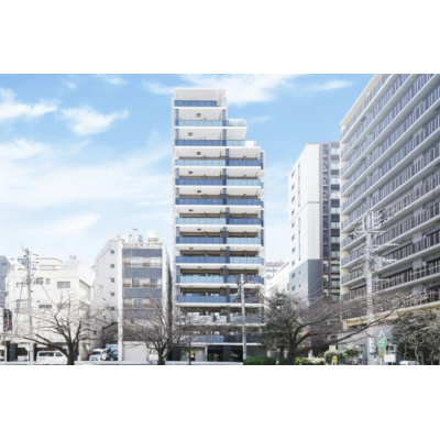 ルネッサンスコート錦糸町Ⅱの外観画像