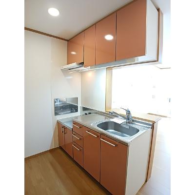 パークハイグランドⅦ 102【管理NO：1-013365102-01020】 ★家具家電は申し込み後に搬入します★の物件写真3
