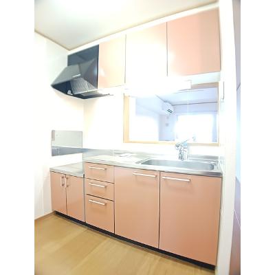 メゾンド・エクセル 203【管理NO：1-013691001-02030】 ★家具家電は申し込み後に搬入します★の物件写真3