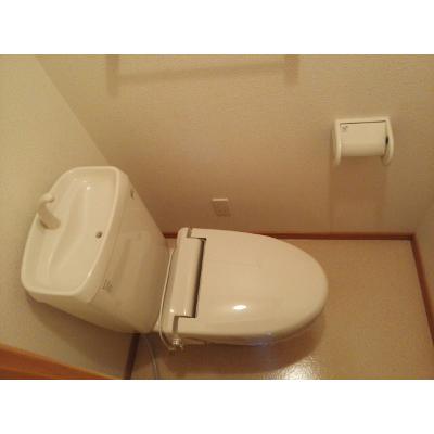 プラシードＢ 203【管理NO：1-014968402-02030】 ★家具家電は申し込み後に搬入します 2026年08月上旬入居可能の物件写真5
