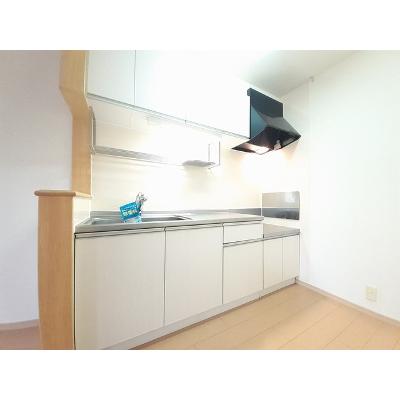 ラフィネＭ 203【管理NO：1-016839702-02030】 ★家具家電は申し込み後に搬入します★ ★2026年09月中旬入居可能★の物件写真3