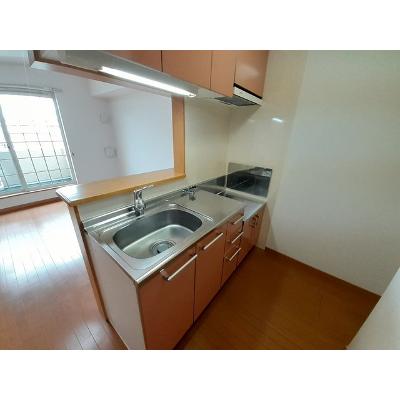 エテルネル 203【管理NO：1-013995401-02030】 ★家具家電は申し込み後に搬入します 2026年09月中旬入居可能の物件写真3