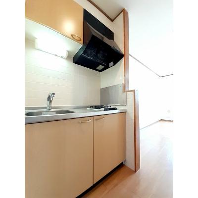 グラス　リバー 202【管理NO：1-010615101-02020】 ★家具家電は申し込み後に搬入します★の物件写真3