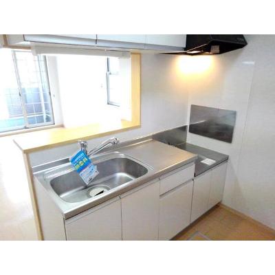プロヴィダンス　Ｔ 101【管理NO：1-015559201-01010】 ★家具家電は申し込み後に搬入します★の物件写真3