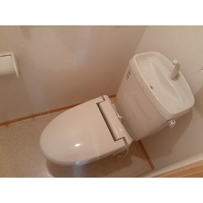 エレガントＡ 201【管理NO：1-016946701-02010】 ★家具家電は申し込み後に搬入します 2026年09月中旬入居可能の物件写真5