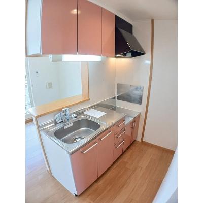 ファイン　コート 202【管理NO：1-013735301-02020】 ★家具家電は申し込み後に搬入します 2026年09月上旬入居可能の物件写真3