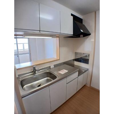 ロイヤルメドウ 310【管理NO：1-014356801-03080】 ★家具家電は申し込み後に搬入します★ ★2026年09月中旬入居可能★の物件写真3
