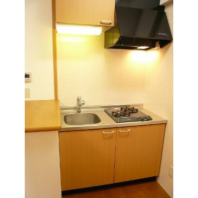 サン・プラシード 206【管理NO：1-013706301-02060】 ★家具家電は申し込み後に搬入します 2026年08月下旬入居可能の物件写真3