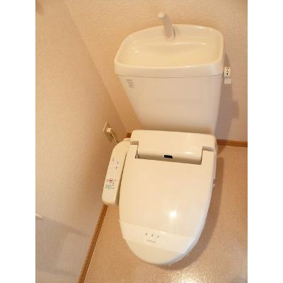 サン・プラシード 206【管理NO：1-013706301-02060】 ★家具家電は申し込み後に搬入します 2026年08月下旬入居可能の物件写真5