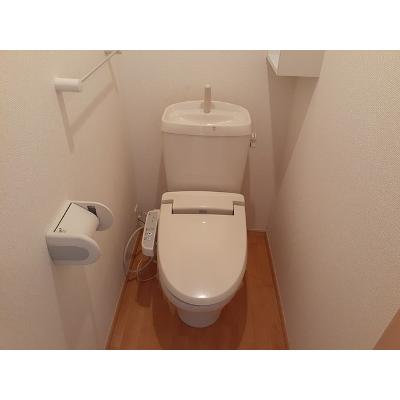メゾン・アベニール 203【管理NO：1-016811201-02030】 ★家具家電は申し込み後に搬入します 2026年09月上旬入居可能の物件写真5