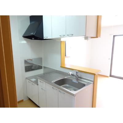 インディアンサマー 201【管理NO：1-015124201-02010】 ★家具家電は申し込み後に搬入します★の物件写真3
