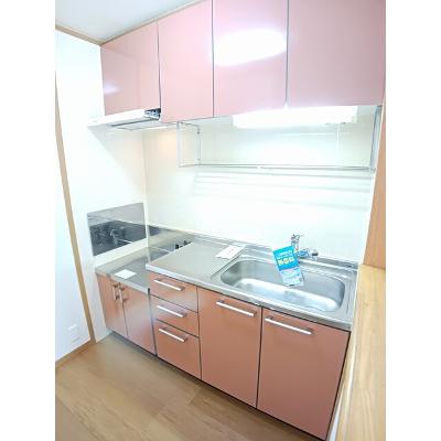 ヴェルドミ－ル鶴崎 202【管理NO：1-012621601-02020】 ★家具家電は申し込み後に搬入します 2026年09月上旬入居可能の物件写真3