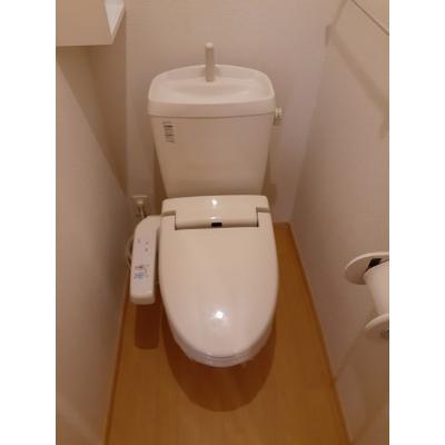 セイバリー・パレスⅡ 101【管理NO：1-014946102-01010】 ★家具家電は申し込み後に搬入します★ ★2026年11月中旬入居可能★の物件写真5