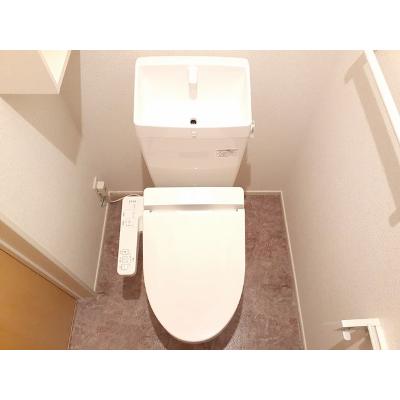 コンセルヴェ　常願 203【管理NO：1-022668201-02030】 ★家具家電は申し込み後に搬入します★ ★2026年09月上旬入居可能★の物件写真5
