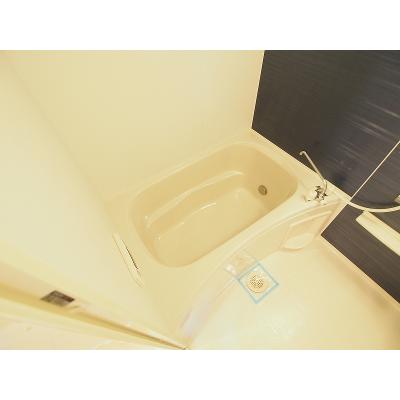 メゾン・ド・エスポワールＡ 303【管理NO：1-018646001-03030】 ★家具家電は申し込み後に搬入します★ ★2026年10月下旬入居可能★の物件写真4