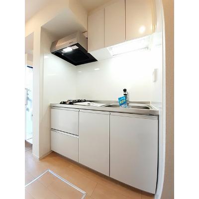 メゾン・ド・ロワイヤル　フジ 101【管理NO：1-024064601-01010】 ★家具家電は申し込み後に搬入します 2026年09月中旬入居可能の物件写真3
