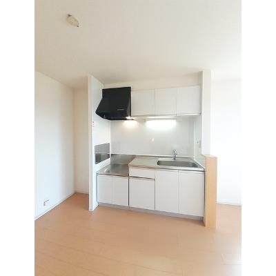 サンゴールド 204【管理NO：1-018727501-02040】 ★家具家電は申し込み後に搬入します★の物件写真3