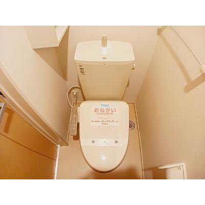 モデルノ　ポテーレⅢ 101【管理NO：1-021488202-01010】 ★家具家電は申し込み後に搬入します★ ★2026年11月下旬入居可能★の物件写真5