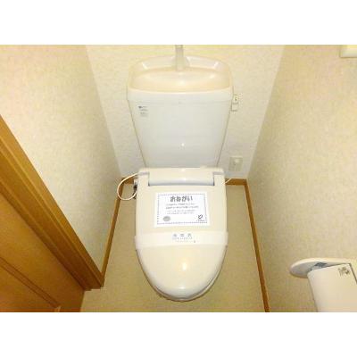 メゾン田園シャトーＢ館 202【管理NO：1-013218602-02020】 ★家具家電は申し込み後に搬入します★ ★2026年09月下旬入居可能★の物件写真5
