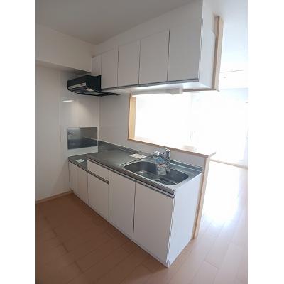 ファインステート 203【管理NO：1-016961402-02030】 ★家具家電は申し込み後に搬入します★の物件写真3