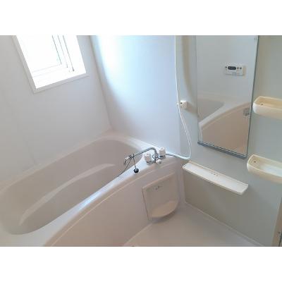 エバーグリーン 203【管理NO：1-015393501-02030】 ★家具家電は申し込み後に搬入します★の物件写真4