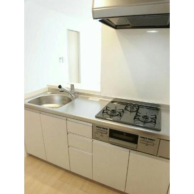 アイリス恵 303【管理NO：1-024284201-03030】 ★家具家電は申し込み後に搬入します★の物件写真3