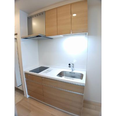 たばさはうすⅡ 304【管理NO：1-028176701-03040】 ★家具家電は申し込み後に搬入します★の物件写真3