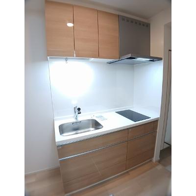 たばさはうすⅡ 105【管理NO：1-028176701-01050】 ★家具家電は申し込み後に搬入します★の物件写真3