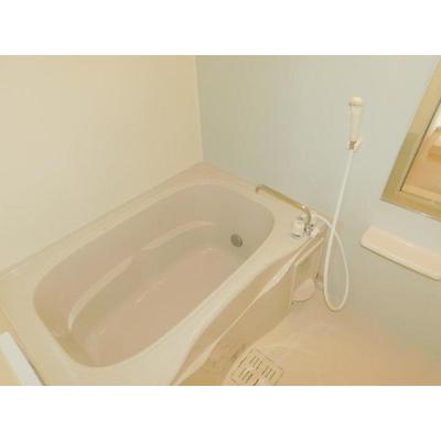 エルメゾン 203【管理NO：1-018872301-02030】 ★家具家電は申し込み後に搬入します★ ★2026年10月中旬入居可能★の物件写真4