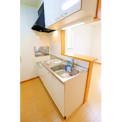 サン松山Ａ 201【管理NO：1-014970201-02010】 ★家具家電は申し込み後に搬入します★の物件写真3