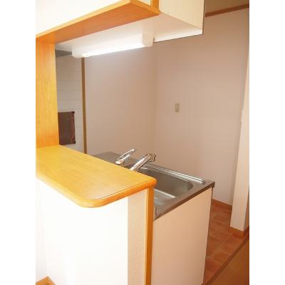 コルソ　セレノ 102【管理NO：1-012371001-01020】 ★家具家電は申し込み後に搬入します★ ★2026年09月中旬入居可能★の物件写真3