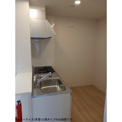 パイオニア　伏 205【管理NO：1-028683101-02040】 ★家具家電は申し込み後に搬入します★ ★2026年12月下旬入居可能★の物件写真3