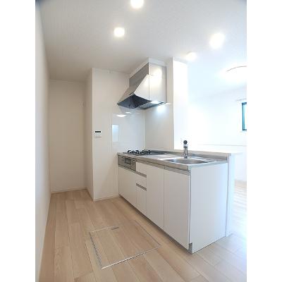 ラフィーネロジュマンⅢ 101【管理NO：1-027384601-01010】 ★家具家電は申し込み後に搬入します★の物件写真3