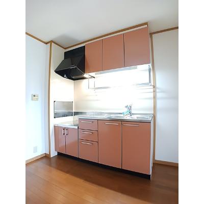 ラフレシールＡ 102【管理NO：1-012740201-01020】 ★家具家電は申し込み後に搬入します★の物件写真3