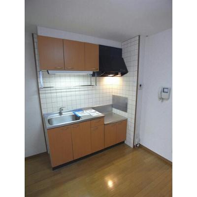 ＡｌｆＡ２０００　Ａ 101【管理NO：1-010046001-01010】 ★家具家電は申し込み後に搬入します★の物件写真3