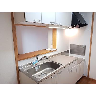 パーク・ユニゾン 203【管理NO：1-014436101-02030】 ★家具家電は申し込み後に搬入します★の物件写真3