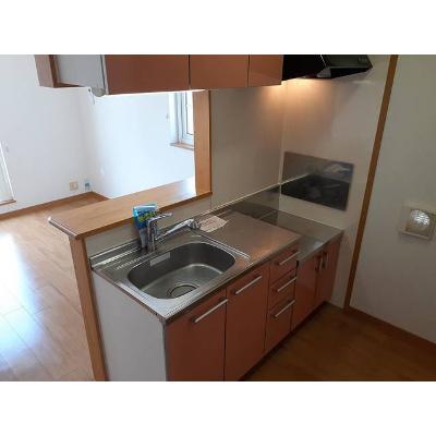 ドミール 203【管理NO：1-013922301-02030】 ★家具家電は申し込み後に搬入します★の物件写真3