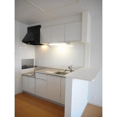 サンリット 202【管理NO：1-018634901-02020】 ★家具家電は申し込み後に搬入します★ ★2026年11月中旬入居可能★の物件写真3