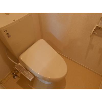 テゾーロ 202【管理NO：1-023222201-02020】 ★家具家電は申し込み後に搬入します★ ★2026年09月中旬入居可能★の物件写真5