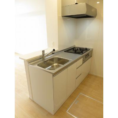 カルミア　Ⅱ 102【管理NO：1-025444502-01020】 ★家具家電は申し込み後に搬入します★の物件写真3