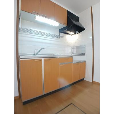 セリーヌ　Ⅲ 103【管理NO：1-010103402-01030】 ★家具家電は申し込み後に搬入します★の物件写真3