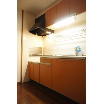 セリーヌ　Ⅲ 101【管理NO：1-010103402-01010】 ★家具家電は申し込み後に搬入します★ ★2026年09月上旬入居可能★の物件写真3